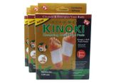 Kinoki detoxikačné náplasti-zázvor+soľ 10 ks v balení