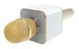 Karaoke mikrofón s bluetooth