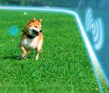 Elektronický neviditeľný plot pre psov