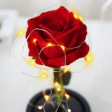 Večná ruža s LED osvetlením
