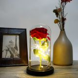 Večná ruža s LED osvetlením